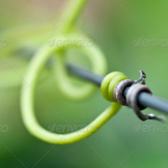 一键获取的免费轰炸电话软件下载